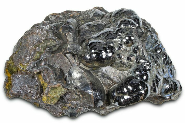 Kidney Ore (Botryoidal Hematite) - Morocco #349503